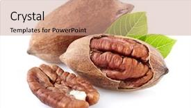  Presentation with environmental leaf - Beautiful slide set featuring nutshell - pecan nuts with leaf backdrop and a  colored foreground