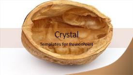  Presentation with walnut - Slide deck having nutshell - shell of walnut in closeup background and a gold colored foreground