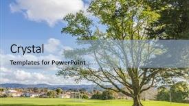  Presentation with lonely man new zealand tourists - Slides featuring nz - auckland park new zealand background and a light blue colored foreground