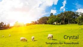  Presentation with green hills - Amazing presentation theme having nz - common view in the new backdrop and a gold colored foreground