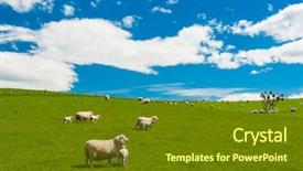  Presentation with new zealand - Slide deck having nz - common view in the new background and a tawny brown colored foreground