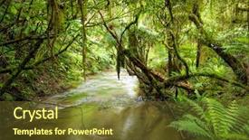  Presentation with forest stream - PPT theme having nz - small stream or brook background and a tawny brown colored foreground