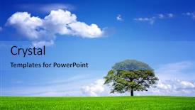  Presentation with oak - Slide set with oak - great nature background and a light blue colored foreground