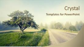  Presentation with rural road - Presentation theme with oak - rural road in morning fog background and a cream colored foreground