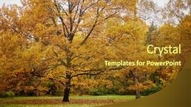  Presentation with leaves falling - Presentation design having oak and birch with falling background and a yellow colored foreground