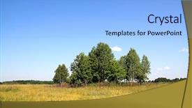  Presentation with oak - Theme featuring urban forest - oak copse background and a light blue colored foreground