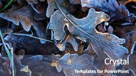  Presentation with abstract natural fresh green - Amazing presentation design having oak leaves - abstract natural background with frozen backdrop and a ocean colored foreground
