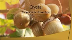 Presentation with oak - Slide deck having oak leaves - acorns background and a gold colored foreground