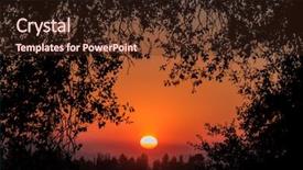  Presentation with close up dumb cane leaves - PPT layouts having oak leaves and rising sun background and a wine colored foreground