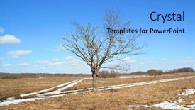  Presentation with oak - Audience pleasing PPT theme consisting of oak near roads backdrop and a light blue colored foreground