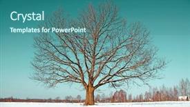  Presentation with oak woodland uk - Beautiful PPT theme featuring oak on field backdrop and a ocean colored foreground