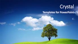  Presentation with oak tree - Colorful theme enhanced with oak tree - beautiful nature backdrop and a navy blue colored foreground