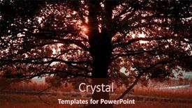  Presentation with oak tree - PPT layouts having oak-tree-against-the-backdrop background and a tawny brown colored foreground