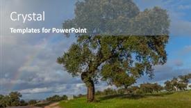  Presentation with oak tree - PPT layouts having oak-tree-and-a-rainbow background and a  colored foreground