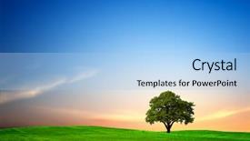  Presentation with oak tree - Slides with oak tree at sunset background and a light blue colored foreground