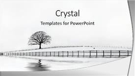  Presentation with oak tree - Presentation theme with oak tree in a field background and a white colored foreground