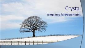  Presentation with oak tree - Amazing PPT layouts having oak tree in a field backdrop and a sky blue colored foreground