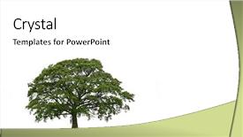 Presentation with oak tree - Presentation having oak tree in a field background and a white colored foreground