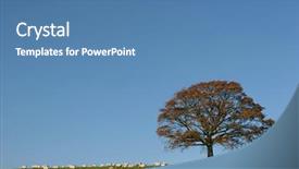  Presentation with oak tree - Slide deck enhanced with oak-tree-in-fall background and a teal colored foreground