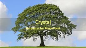  Presentation with oak tree - Presentation design enhanced with pine on the rocks at emerald bayviewpoint lake tahoe with mother and daughter tourists in the background having fun background and a gray colored foreground