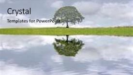  Presentation with water leaf - Audience pleasing presentation design consisting of oak tree in leaf in summer against a stormy sky with reflection in rippled water backdrop and a light blue colored foreground