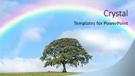  Presentation with oak tree - Audience pleasing PPT theme consisting of oak tree in summer standing backdrop and a light blue colored foreground