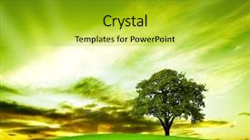  Presentation with oak tree - Amazing PPT theme having oak tree in summer backdrop and a yellow colored foreground