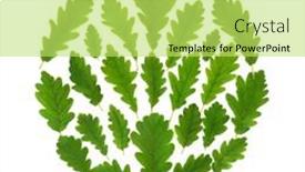  Presentation with environmentally friendly - PPT layouts featuring oak-tree-leaf-abstract-eco background and a  colored foreground