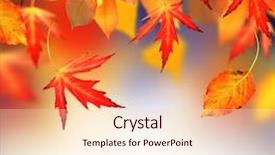  Presentation with oak tree - Presentation design having oak tree leaves - autumn background and a lemonade colored foreground