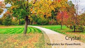  Presentation with foggy forest - Cool new presentation theme with oak tree leaves - beautiful colorful autumn picturesque park backdrop and a yellow colored foreground