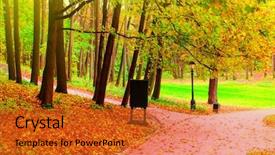  Presentation with foggy forest - Audience pleasing slide deck consisting of rainbow at the waterfall millomeris backdrop and a dark gray colored foreground