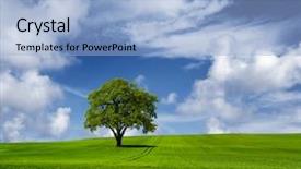  Presentation with oak tree - Amazing slide deck having oak tree on a cloudy backdrop and a light blue colored foreground