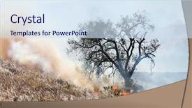  Presentation with wildland fire - Amazing PPT theme having oak tree on fire backdrop and a sky blue colored foreground