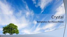  Presentation with oak tree - Beautiful theme featuring oak tree on green field backdrop and a light blue colored foreground