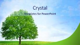  Presentation with oak tree - Beautiful presentation theme featuring oak tree on the flower backdrop and a sky blue colored foreground