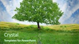  Presentation with oak tree - Theme featuring oak tree on the flower background and a forest green colored foreground