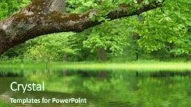  Presentation with oak tree - Colorful theme enhanced with oak tree reflected in water backdrop and a tawny brown colored foreground