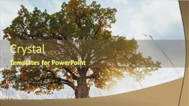  Presentation with oak tree - Slide deck having oak-tree-with-yellow-foliage background and a tawny brown colored foreground