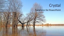  Presentation with oak - Presentation having oak wood in water background and a light blue colored foreground