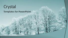  Presentation with oak - Slides featuring oak wood on coast river background and a light blue colored foreground