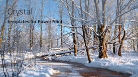  Presentation with oak - Colorful slide set enhanced with oak wood on coast river backdrop and a teal colored foreground