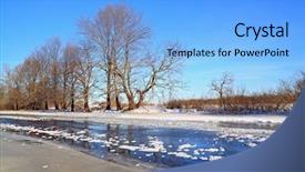  Presentation with oak - Audience pleasing PPT theme consisting of oak wood on river coast backdrop and a light blue colored foreground
