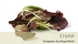  Presentation with salad - Audience pleasing PPT theme consisting of oakleaf-salad-on-a-white backdrop and a soft green colored foreground