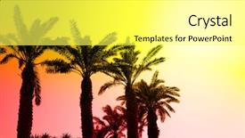  Presentation with oasis - PPT layouts featuring oasis - date palms in row background and a  colored foreground