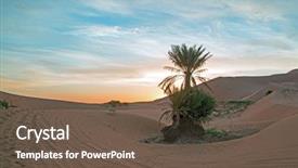  Presentation with sahara - Theme enhanced with oasis - palmtree in the middle background and a tawny brown colored foreground