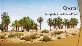  Presentation with sahara - Slides with oasis - sahara desert background and a light blue colored foreground