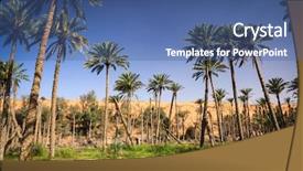  Presentation with oasis - PPT theme having oasis in the middle background and a ocean colored foreground