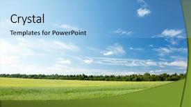  Presentation with oat - Presentation design consisting of oat field and sunny sky background and a light blue colored foreground