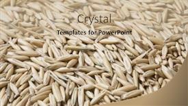  Presentation with oat - Amazing slides having oat-grain-with-husks backdrop and a soft green colored foreground