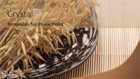  Presentation with food grains - Theme having oat-grains-on-a-plate background and a coral colored foreground